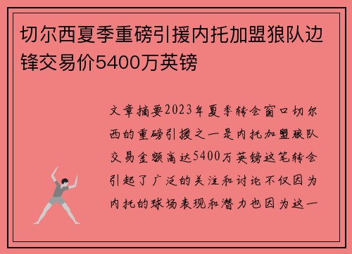 切尔西夏季重磅引援内托加盟狼队边锋交易价5400万英镑